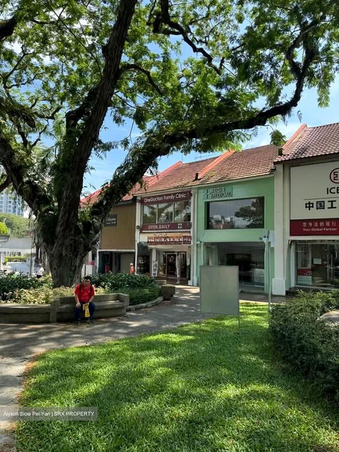 Holland Village MRT (D10), Shop House #545984141